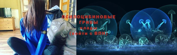 индика Белокуриха