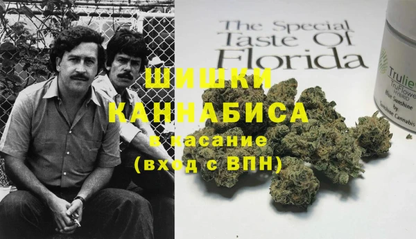 PSILOCYBIN Белоозёрский