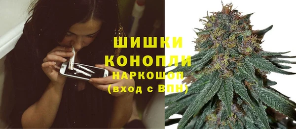 индика Белокуриха